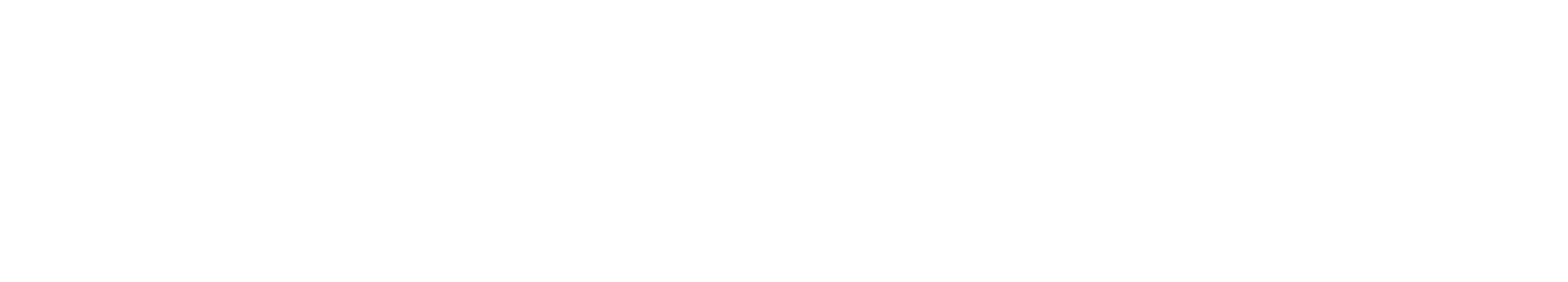 Haag-Streit