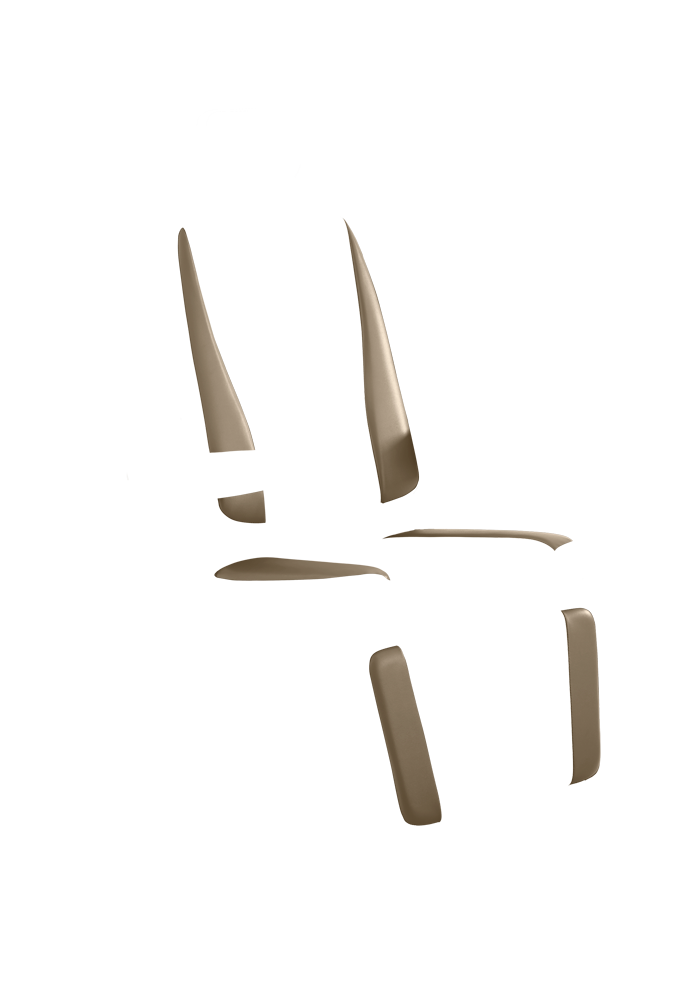 Chair Premiere 7000