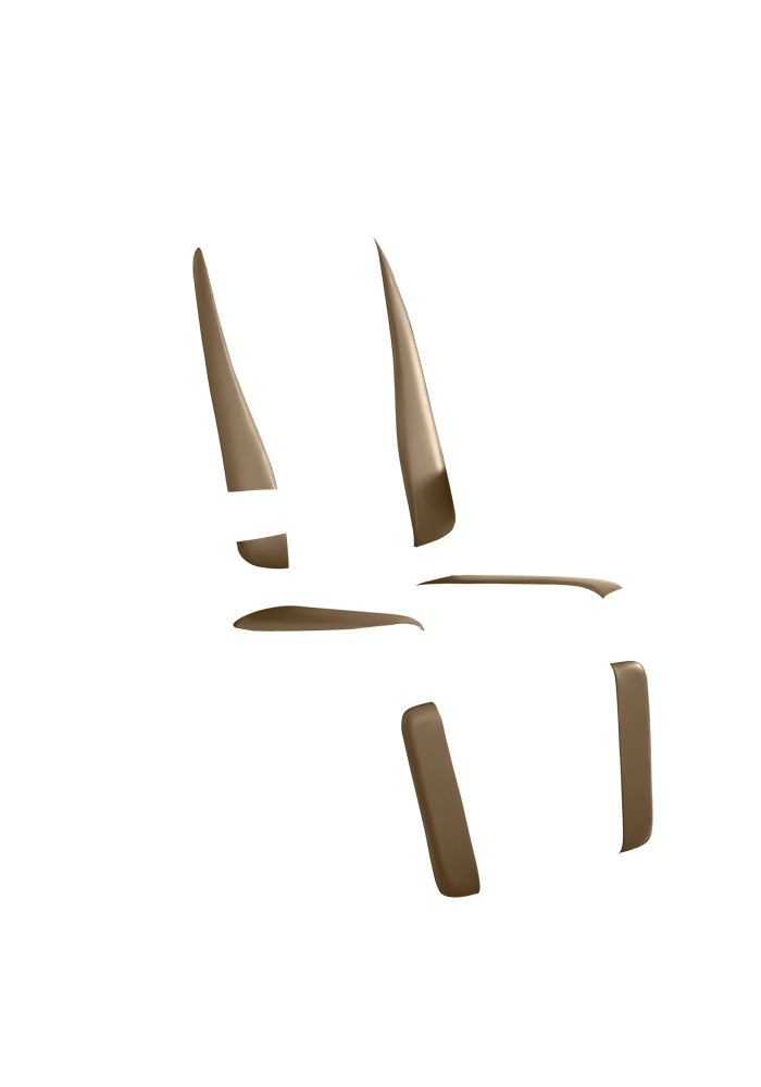 Chair Premiere 710