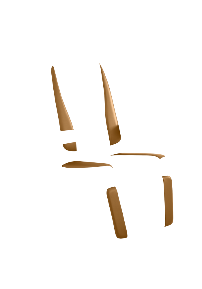Chair Premiere 710