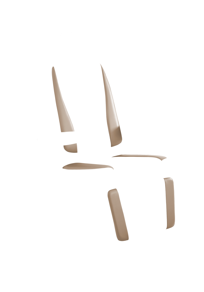 Chair Premiere 710