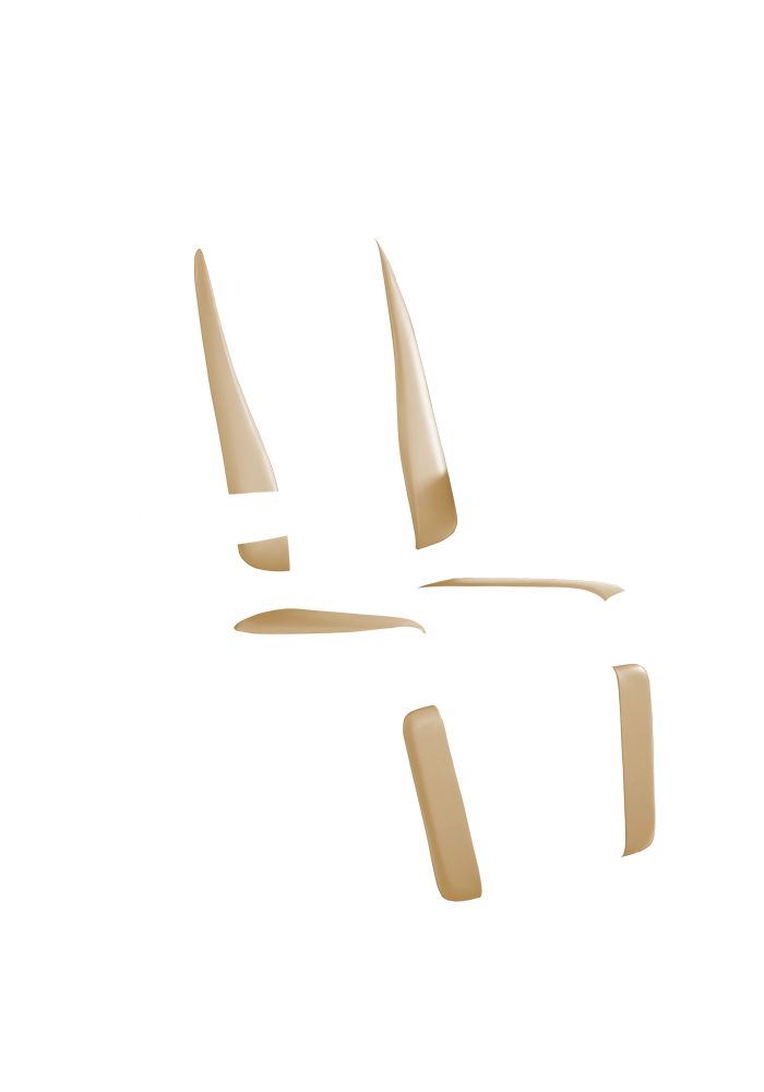 Chair Premiere 710