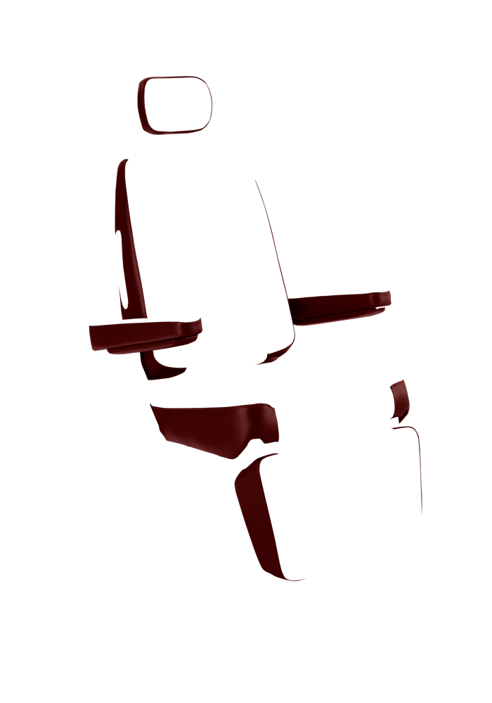 Chair Premiere 710