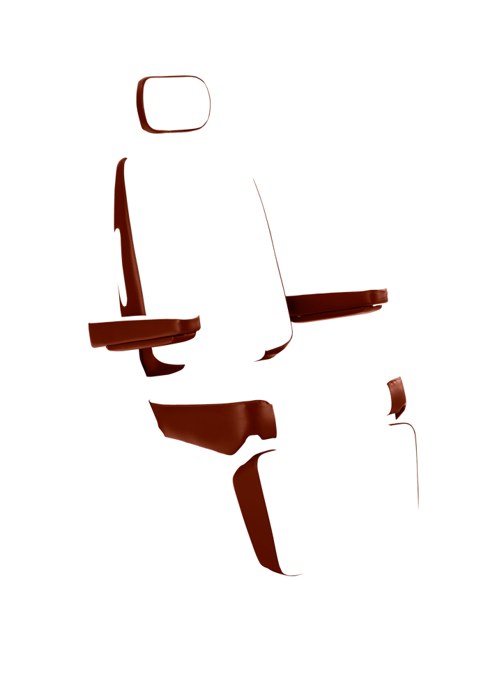 Chair Premiere 710