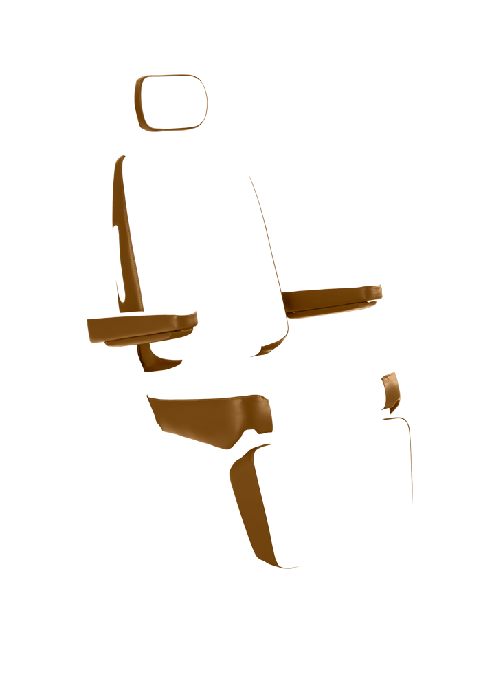 Chair Premiere 710